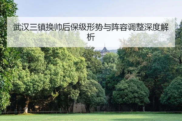 武汉三镇换帅后保级形势与阵容调整深度解析